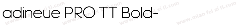 adineue PRO TT Bold字体转换